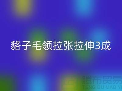 1738412664104722.png 0b6e7e0bbc2d4d1a5c76ffd549f0469a_1.png