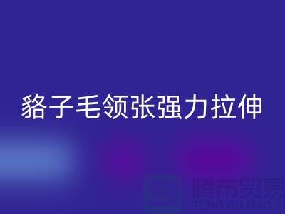 1738412766338861.png fddfa5aa80cb5fdc807f47d75936dfa2_1.png