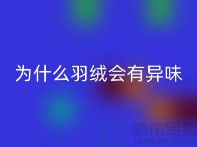 1738415787804205.png 05c465b62eb21be171ff20d45cf97ffd_1.png