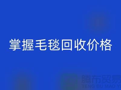 掌握毛毯FH官方网页版价格,让旧物焕发新生价值-南通家纺库存FH官方网页版厂家