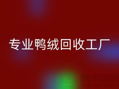 专业鸭绒FH官方网页版工厂-专业鸭绒FH官方网页版价格-库存鸭绒FH官方网页版厂家