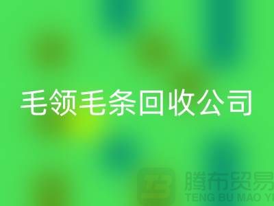 毛领毛条FH官方网页版公司讲述毛领如何清洗_FH官方网页版