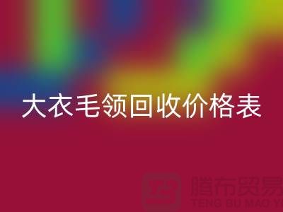 大衣毛领FH官方网页版价格表-FH官方网页版