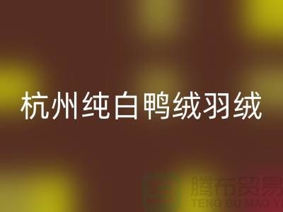 纯白鸭绒FH官方网页版-杭州羽绒FH官方网页版-安徽鹅绒FH官方网页版-上海羽绒FH官方网页版厂家