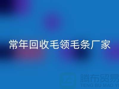 真毛领子、假毛领子怎么辨别?常年FH官方网页版毛领毛条厂家来告诉你