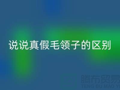 说说真假毛领子的区别,你别掉进坑里-长期大量FH官方网页版毛领毛条公司