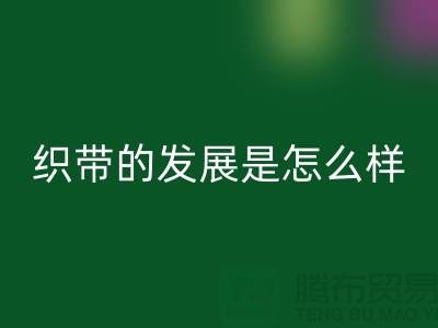 织带的发展是怎么样的呢-废旧织带FH官方网页版价格-废旧织带FH官方网页版厂家