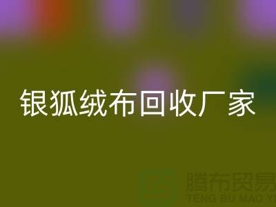 银狐绒布FH官方网页版厂家:让旧衣物焕发新生-服装面料FH官方网页版公司