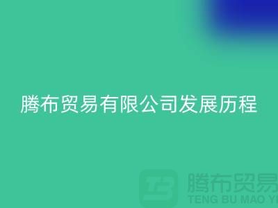 FH官方网页版发展历程