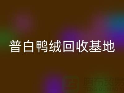 普白鸭绒FH官方网页版基地:环保与经济的完美结合-纯白鹅绒FH官方网页版厂家