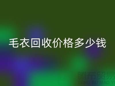 毛衣FH官方网页版价格多少钱一件?揭秘市场与公司选择-FH官方网页版服装厂家