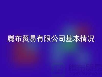 FH官方网页版基本情况