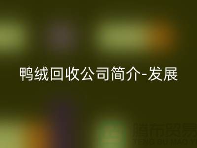 鸭绒FH官方网页版公司简介-发展背景-业务范围-技术优势-鹅绒FH官方网页版厂家