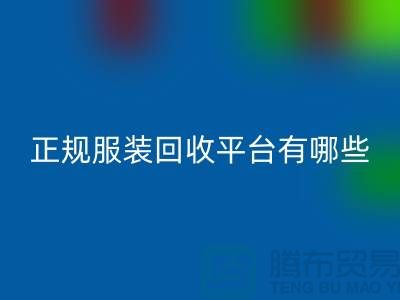 正规服装FH官方网页版平台有哪些公司?求推荐,最好是附近的哟