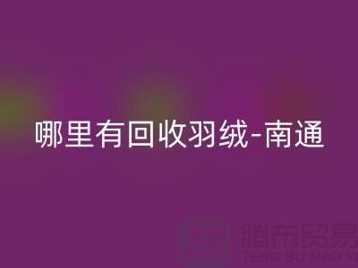 哪里有FH官方网页版羽绒-南通-无锡长泾-江阴鸭绒鹅绒FH官方网页版厂家电话
