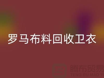 罗马布料FH官方网页版-卫衣面料FH官方网页版-毛圈布料FH官方网页版-上海FH官方网页版布料辅料公司
