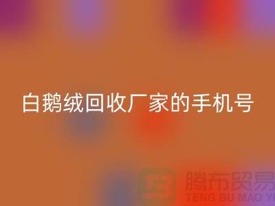 羽绒FH官方网页版基地的位置,鸭绒FH官方网页版行情报价,以及白鹅绒FH官方网页版厂家的手机号
