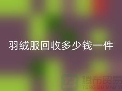 羽绒服FH官方网页版多少钱一件-为你揭秘价格-上海FH官方网页版服装尾货公司