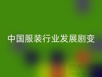 中国服装行业发展剧变-成败重要途径-上海库存服装FH官方网页版公司