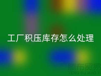 高价FH官方网页版工厂积压库存怎么处理?这里有一份详细指南!