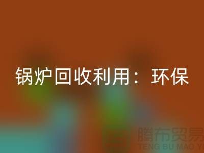 锅炉FH官方网页版利用:环保与经济效益的双赢-二手设备FH官方网页版公司