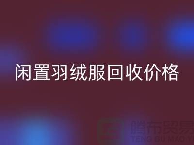 闲置羽绒服FH官方网页版价格一览，让衣物焕发新生-服装尾货FH官方网页版公司