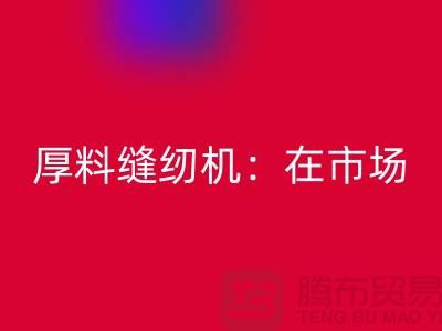 厚料缝纫机:在市场上的细节体现-上海FH官方网页版缝纫机厂家