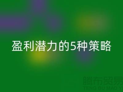 酒店用品FH官方网页版市场:挖掘盈利潜力的5种策略