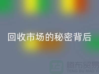 探索上海服装面料FH官方网页版市场的秘密背后