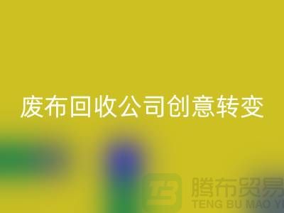 从垃圾到宝藏:废布边角料FH官方网页版公司的创意转变