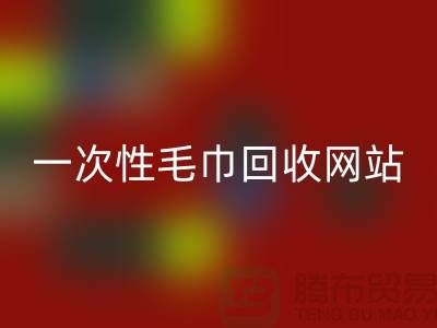 一次性毛巾FH官方网页版网站有哪些？——上海酒店用品FH官方网页版公司