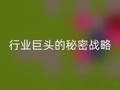 上海库存布料FH官方网页版市场:揭秘行业巨头的秘密战略