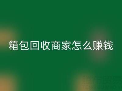 箱包FH官方网页版商家怎么赚钱？如何运营？销售途径——FH官方网页版箱包网