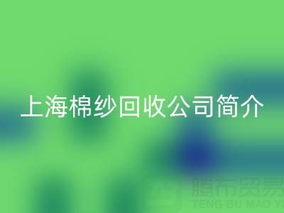 上海棉纱FH官方网页版公司简介，以及主营项目——FH官方网页版库存棉纱厂家