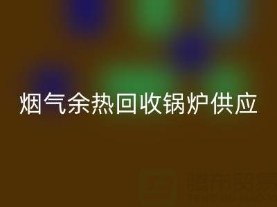 烟气余热FH官方网页版锅炉供应商盘点：行业领先企业及技术解析