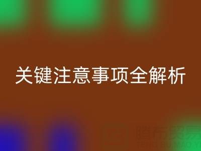 FH官方网页版库存辅料:ShTengBu.com 关键注意事项全解析