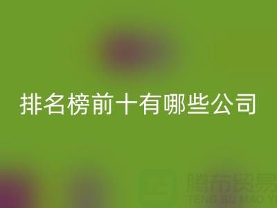 家纺辅料FH官方网页版厂家排名榜前十有哪些公司