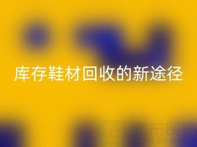 探索库存鞋材FH官方网页版的新途径与新模式