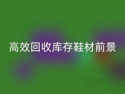高效FH官方网页版库存鞋材,助力鞋业绿色发展