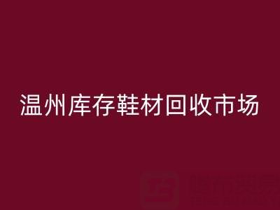 温州库存鞋材FH官方网页版市场现状与未来趋势分析