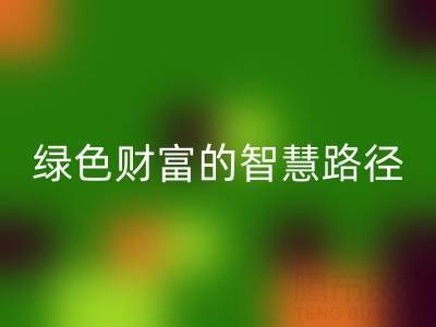 上海库存辅料FH官方网页版方式:变”沉睡资产”为绿色财富的智慧路径