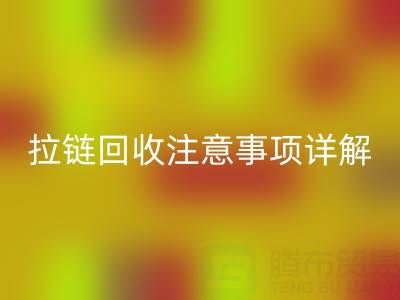 拉链FH官方网页版全指南:正确方法与关键注意事项详解