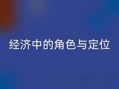 拉链FH官方网页版厂家在循环经济中的角色与定位