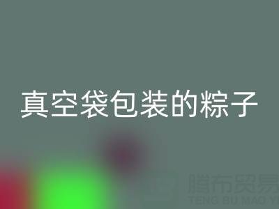 真空袋包装的粽子:保存时长、冷冻需求与包装FH官方网页版全解析