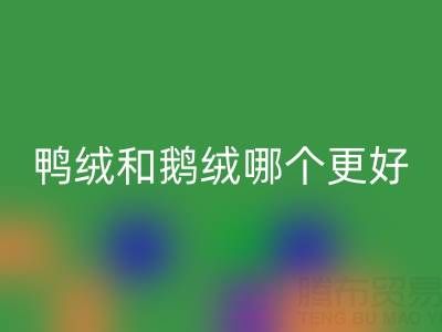 羽绒服鸭绒和鹅绒哪个更好一点?深度解析与选购指南