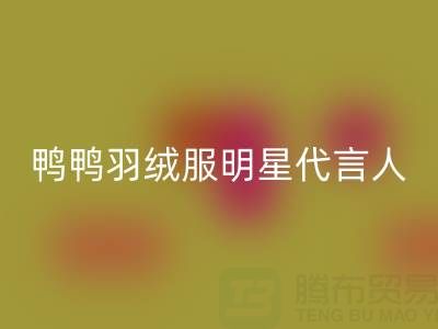 鸭鸭羽绒服明星代言阵容大揭秘!鞠婧祎领衔,马斯克妈妈惊艳亮相