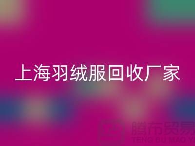 羽绒服乐动在线登录：环保与经济的双重考量，上海厂家引领行业新风尚