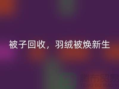 全新被子乐动在线登录，羽绒被焕新生——江苏南通家纺城引领绿色未来