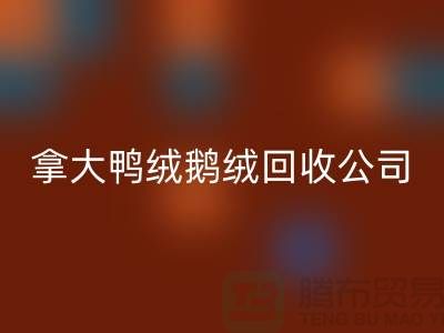 探秘加拿大鸭绒鹅绒乐动在线登录公司：环保与品质的双重坚守