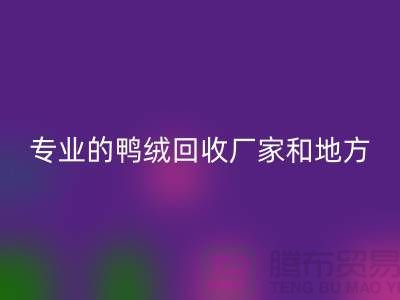 探索鸭绒乐动在线登录：寻找上海专业的乐动在线登录厂家与地方